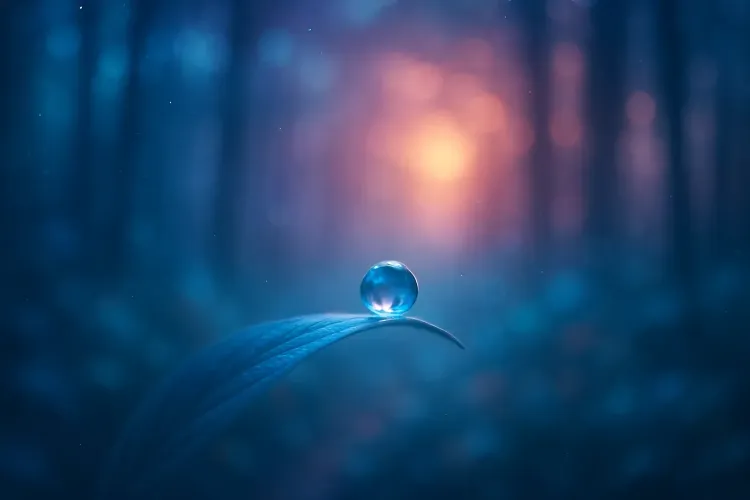 A dew drop rests on a curved leaf in a dark blue forest, with warm glowing light and a dreamy, serene mood